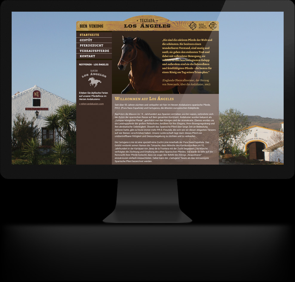 Pferdezucht Andalusien